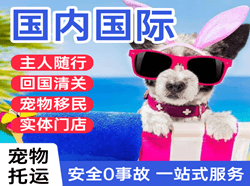 徕宁航空快运国际宠物托运 【国